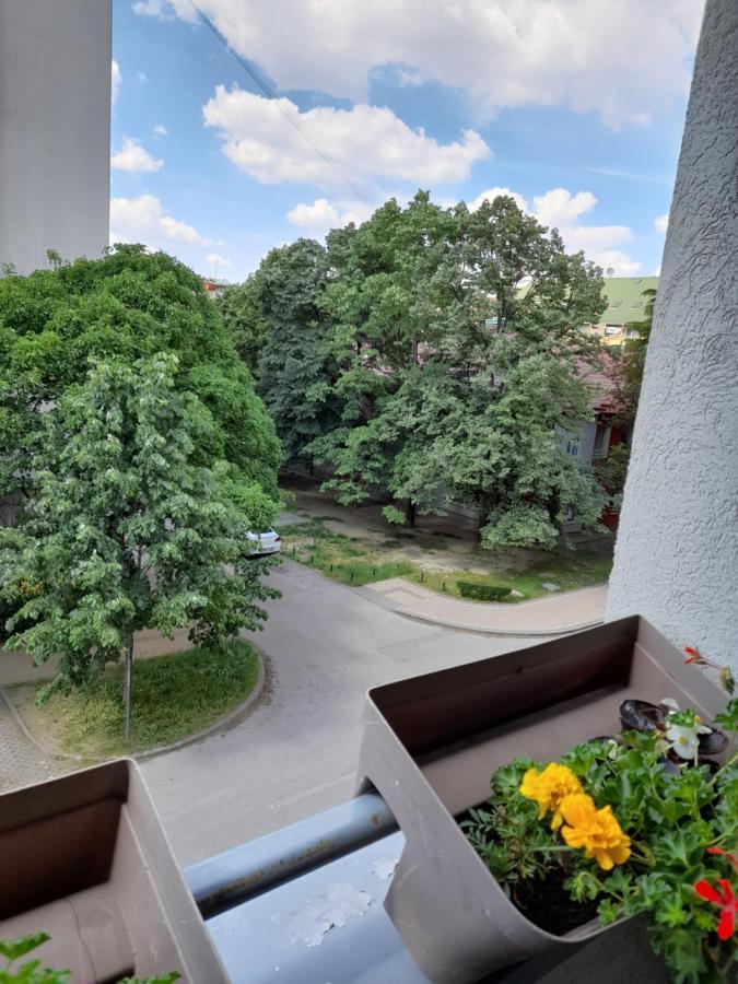Apartman Aurora Novi Sad Extérieur photo